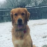 Buddy May - @buddymay7 - Instagram