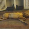 Buddy Miller - @buddy.miller49 - TikTok