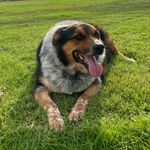 Buddy Miller - @buddys_lightyear - Instagram