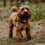 Buddy Morgan - @buddymorgan_ - Instagram