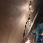 Buddy Morgan - @buddy.morgan.798 - Instagram