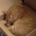 Buddy Moris - @buddy_morris_ - Instagram