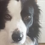 @buddy_morris.0 - Instagram