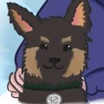 Buddy Morris - @dogetv - Instagram