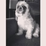 Buddy Morris Villalta - @mistahbud - Instagram
