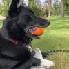 MorrisBuddy - @morrisbuddy - TikTok