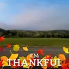 buddyneeley8 - @buddyneeley8 - TikTok