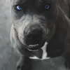 buddyneely - @buddyneely - TikTok
