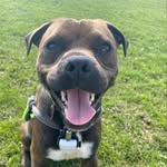 Buddy Pickard - @buddythe_jugg - Instagram