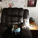 buddy_powell - @buddy_powell7 - Instagram