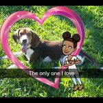 buddy - @buddy__prince - Instagram