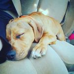 buddy prince - @buddy.prince19 - Instagram