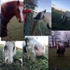 buddy prince - @prince.buddy - TikTok