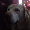 log_so_wavy_8 - @prince_buddy - TikTok