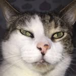 Buddy - @buddy.richardsonn - Instagram