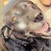 Buddy Richardson - Facebook