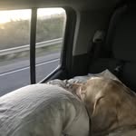 Buddy Richardson - @thats_mr.buddy_to_you - Instagram