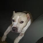Buddy Richardson - @buddy.richardson.14473 - Instagram