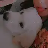 buddy.richter_0 - @buddy.richter_0 - TikTok