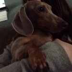 Buddy Rogers - @buddycutiepants - Instagram