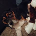 @buddy_rogers - Instagram