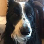 Buddy Rogers - @buddy_rogers_ - Instagram