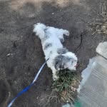 Buddy Rogers - @buddy_rogers18 - Instagram