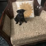 Buddy - @buddy_singh_1234 - Instagram