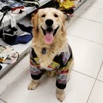 Buddy singh - @buddy_singh123 - Instagram