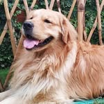 Buddy Singh - @offical_buddy__ - Instagram
