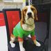 Buddy Singh - Facebook