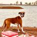 Buddy Singh - Facebook