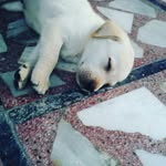 Buddy Singh - @_itz_buddy_ - Instagram