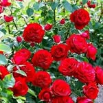 Buddy Singh Singh - @buddysinghsingh - Instagram
