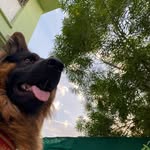 @buddysingh24 - Instagram
