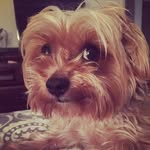 Buddy Thomas - @sir_buddyt - Instagram