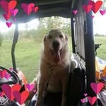 Buddy Thomas - @buddy.thomas.3939 - Instagram