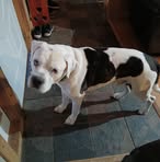 Buddy Thomas - Facebook