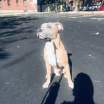 Buddy Thomas - @buddy_thomas22 - Instagram