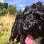buddy thomas - @buddy.thomas_ - Instagram