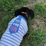 Buddy Williams - @buddy__will - Instagram