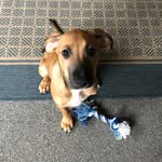 Buddy Williams - @buddywilliams18 - Instagram
