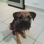 buddy williams - @buddywilliams2016 - Instagram
