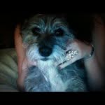 @buddy_williams - Instagram