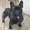buddyprewitt - @buddyprewitt - TikTok