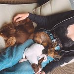 🐶 Buddy Woody Watson 🐶 - @buddy_woody_watson - Instagram