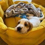 Buddy Reimnitz-Wood - @the.buddy.life - Instagram