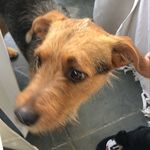 Buddy FK - @_buddywood - Instagram