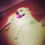 Buddy Wood - @buddy_wood - Instagram