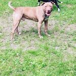 buddy wood - @buddy_wood_1664 - Instagram